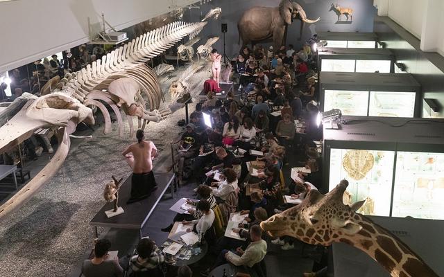 Viele zeichnende Menschen beim Tier- und Aktzeichnen