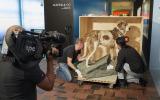 Barry Umzug SRF Medien Naturhistorisches Museum Bern