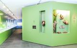Naturhistorisches Museum Bern, Ausstellung Flossen-Füsse-Flügel, Ein Blick in die Ausstellung