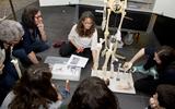NMBE Naturhistorisches Museum Bern Weiterbildung Lehrpersonen Evomobil
