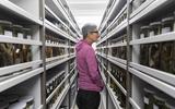 Naturhistorisches Museum Bern, Eine Führung in der Sammlung