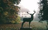 Schloss Landshut im Nebel