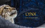 Film Lynx.