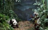 Asien Diorama 3 - Grosser Panda