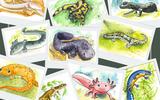 Salamander-Test
