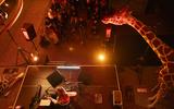 Bar der toten Tiere 2024