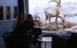 Bar der toten Tiere 2024