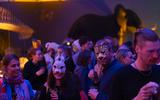 Bar der toten Tiere 2024