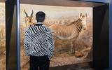 Bar der toten Tiere 2024