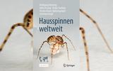 Spinnenbuch Hausspinnen