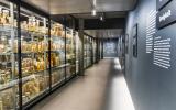 Ein Teil der wissenschaftlichen Sammlung kommt ans Licht der Öffentlichkeit