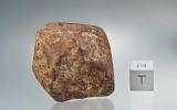 Der Meteorit «Mont Sujet»