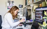 Eine Wissenschaftlerin untersucht Proben unter dem Mikroskop