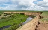 Ufer Uferschwalbe Kolonie Ulz Mongolei Grenzgebiet China Russland