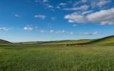 Zeltplatz Mongolei Dornod-Provinz Expedition Forschung Ornithologie Uferschwalben