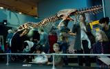 Grosse und kleine Gäste in der Sonderausstellung «T. rex - Kennen wir uns»