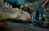 Besucherinnen und Besucher in der Ausstellung «T. rex - Kennen wir uns?»