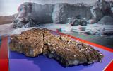 Naturhistorisches Museum Bern, Ausstellung 5 Sterne, grosse Fossilienplatte