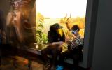Naturhistorisches Museum Bern, Bar der toten Tiere, Mann mit Vogelmaske
