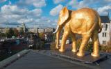 NAtruhistorisches Museum Bern, goldener Elefant auf Dach