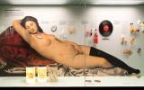 Naturhistorisches Museum Bern, Ausstellung Käfer & Co., ein Blick in die Vitrine