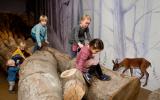 Naturhistorisches Museum Bern, Ausstellung Picas Nest, Kinder klettern auf dem Baummstamm