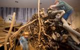 Naturhistorisches Museum Bern, Ausstellung Picas Nest, Die Wurzeln des Baumes laden zum Klettern ein
