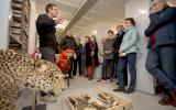 Naturhistorisches Museum Bern, Private Führung in der Sammlung