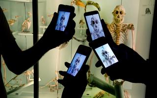 Museum digital