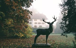 Schloss Landshut im Nebel