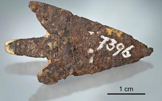 Pfeilspitze von Mörigen