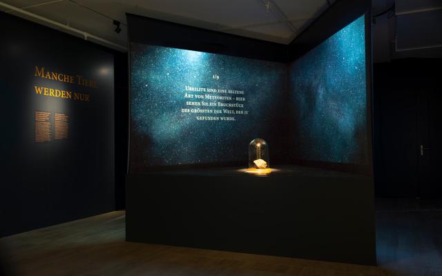 Naturhistorisches Museum Bern, Ausstellung Kellerjuwelen, Ureilit Meteorit