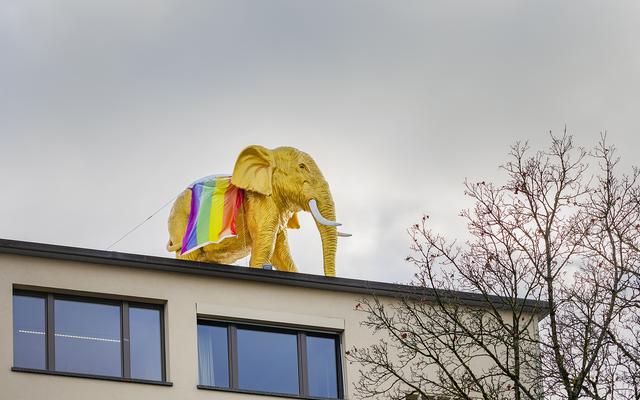 Museumsansicht Queer