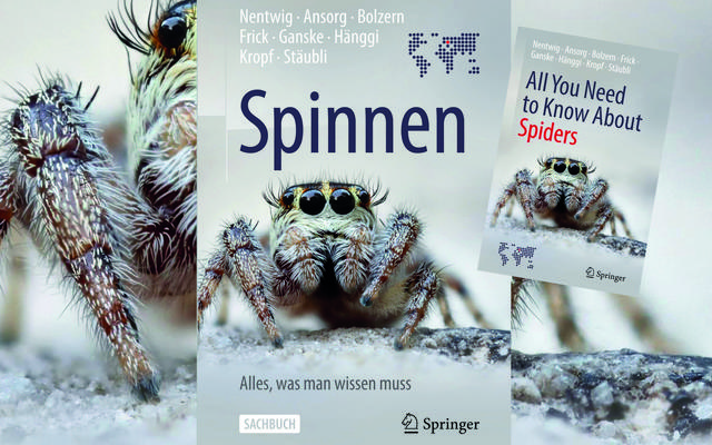 Cover Spinnenbuch