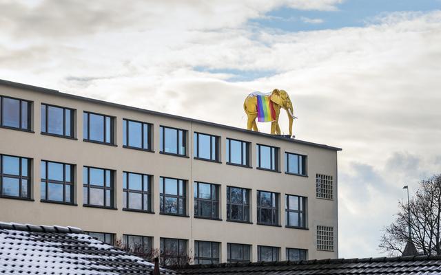 Aussenansichten_NMBE-Gebäude mit Elefant