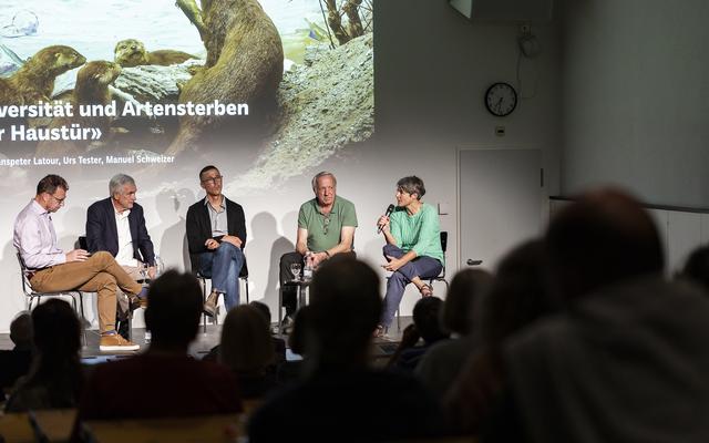 Podiumsgespräch im NMBE