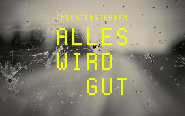 Insektensterben – Alles wird gut