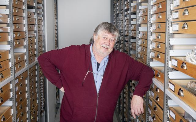 Dr. Eike Neubert