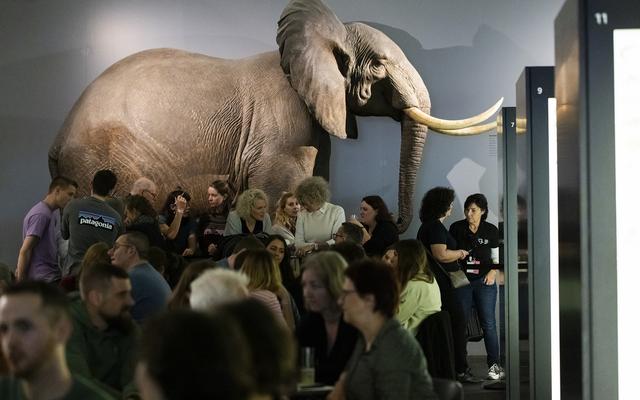 Event im Skelettsaal
