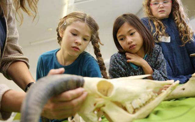 Naturhistorisches Museum Bern, Museumspädagogin erklärt Kindern anhand eines Schädels