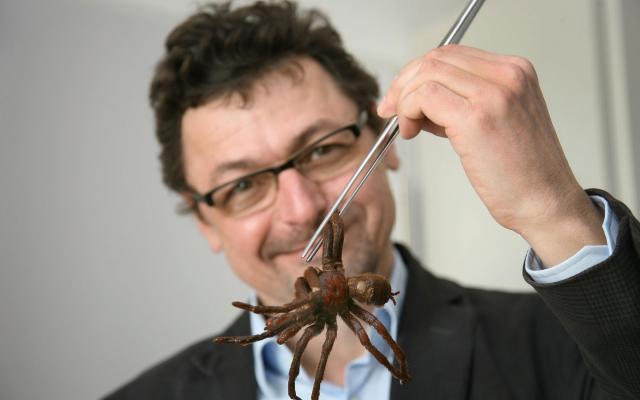 Naturhistorisches Museum Bern, Christian Kropf