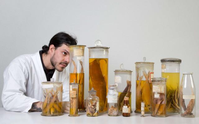 Naturhistorisches Museum Bern, Fabian Neisskenwirth sortiert Nassammlung
