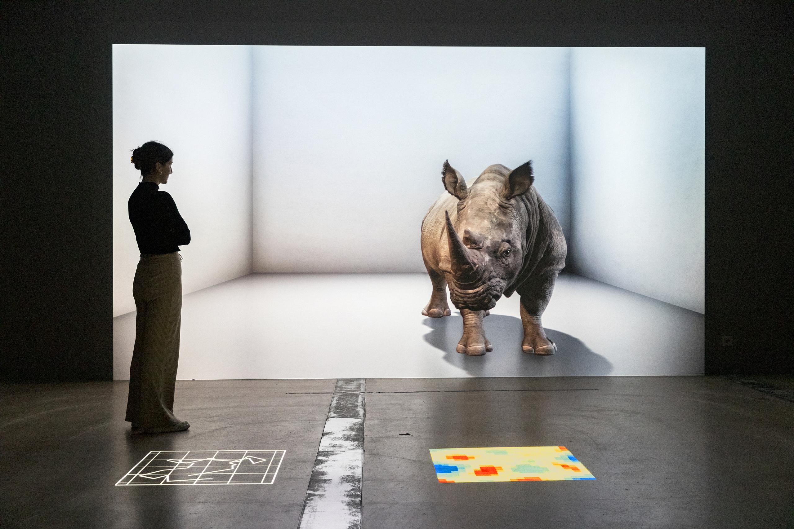 Ein lebensgrosses Nashorn wird in den Ausstellungsraum projiziert 