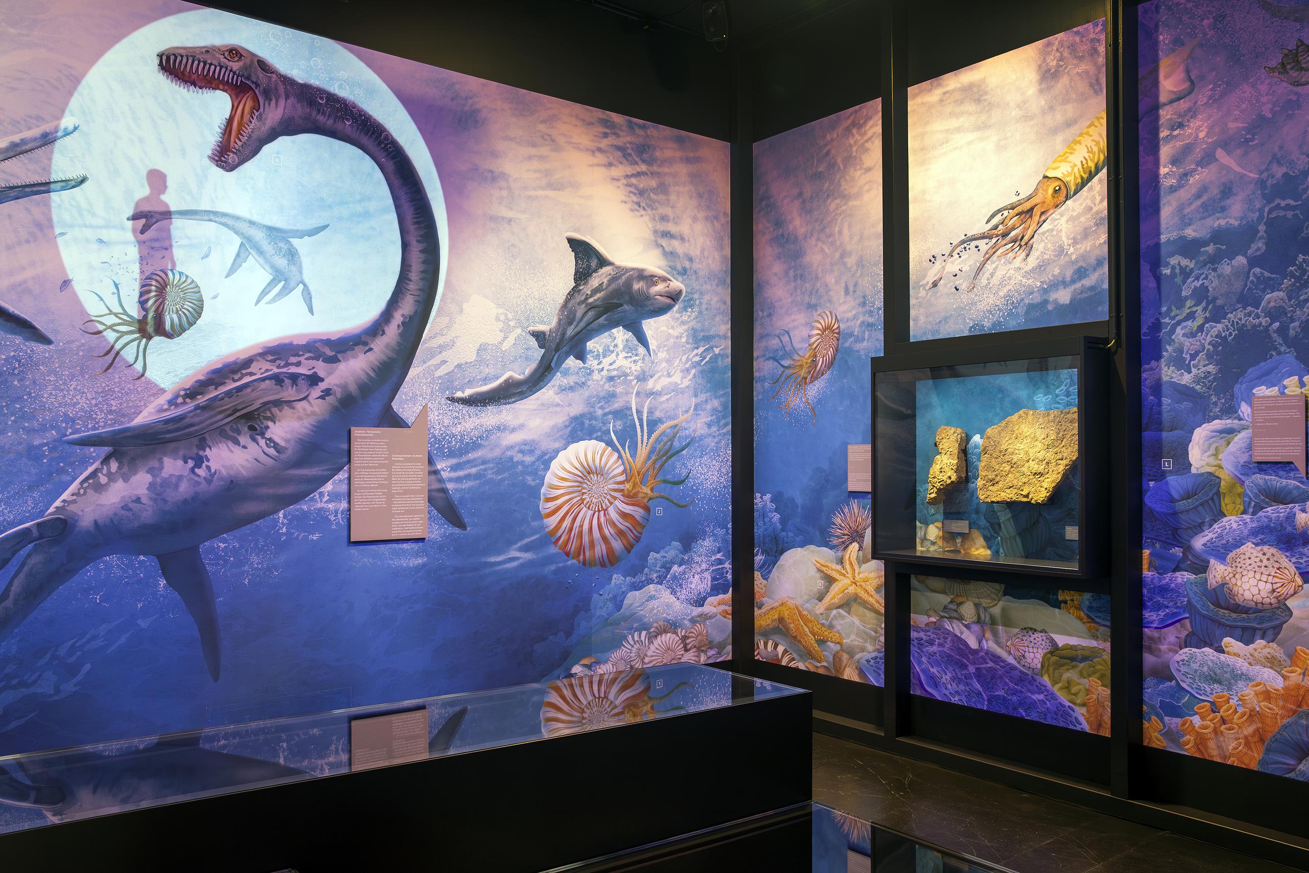 Ausstellungsansicht MEK