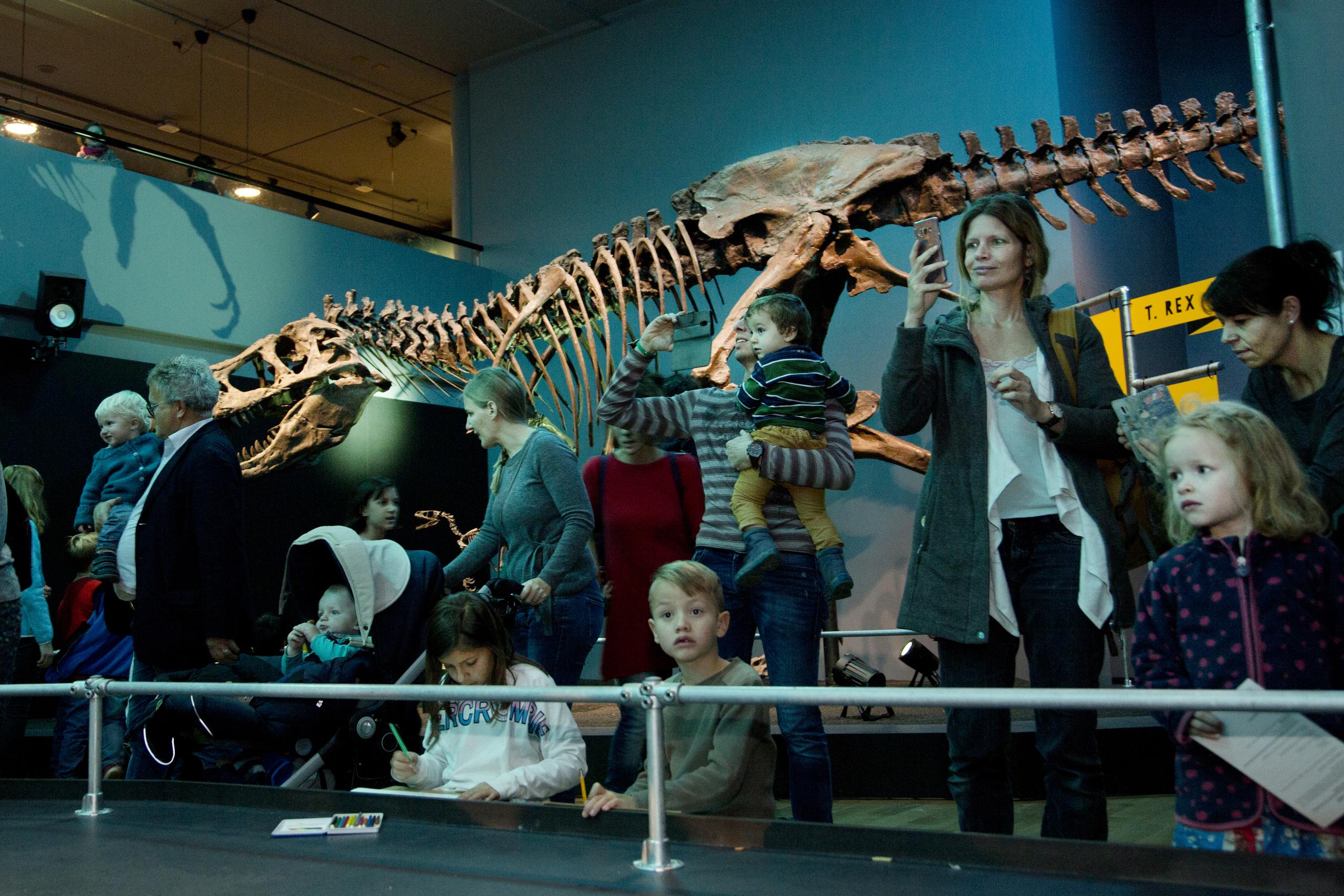 Grosse und kleine Gäste in der Sonderausstellung «T. rex - Kennen wir uns»