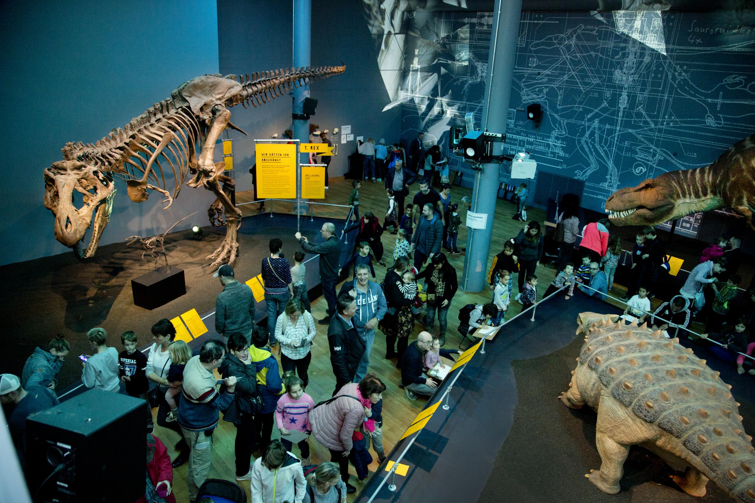 Besucherinnen und Besucher in der Sonderausstellung «T. rex - Kennen wir uns?»